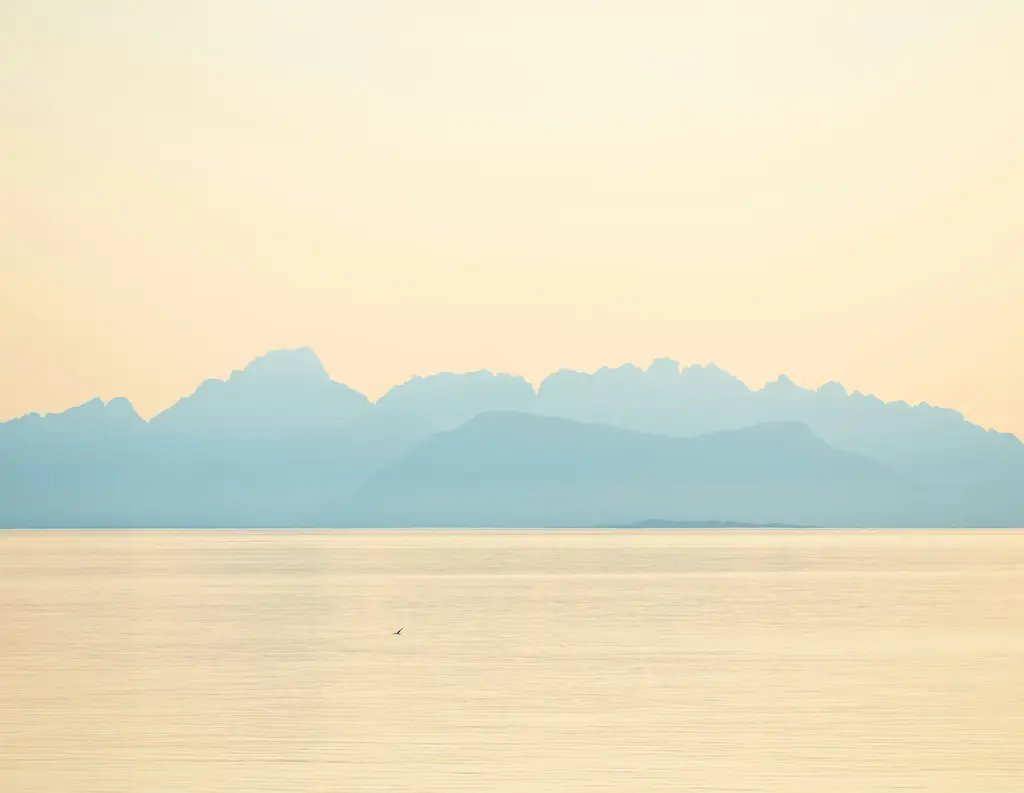 alivila日航渡假飯店：探索金門豪華綠洲的完整指南