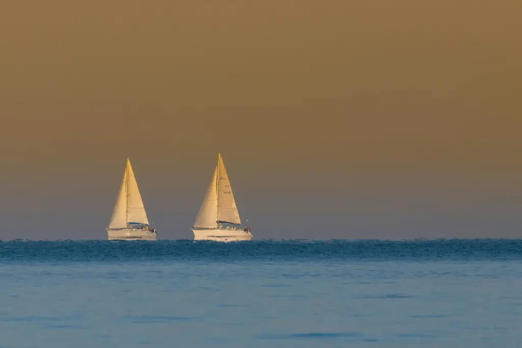 ClubMed星宇:台灣家庭的完美度假勝地